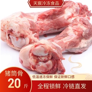 新鲜冷冻多肉猪筒骨 带肉前筒骨腿骨汤骨商用多肉新鲜大骨头20斤