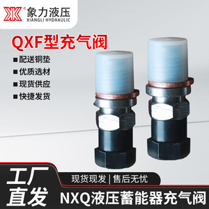 NXQ液压蓄能器充气阀QXF-5储能器充气嘴 剪板机气嘴单向阀气门芯