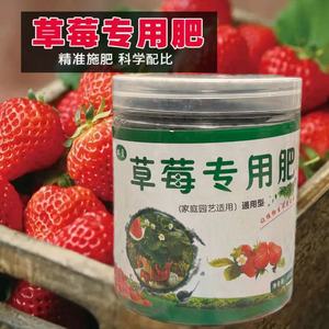 【草莓专用肥】果大果甜增产延长坐果期家用盆栽颗粒缓释营养肥料
