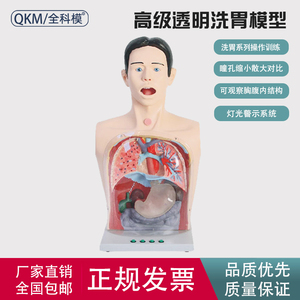 多功能透明洗胃训练模型带警示鼻胃管气管插管急救护理胃镜模拟人