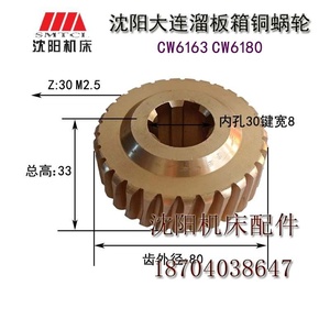 沈阳机床配件 车床配件 CW6163 CW6180 6020 铜蜗轮 涡轮Z30 M2.5