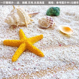 400克 粗白色珊瑚沙 原色粗海沙子 鱼缸地台铺底海螺贝壳家居装饰
