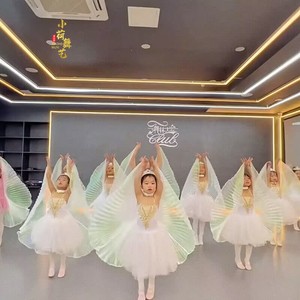 小风筝儿童演出服翅膀道具六一幼儿园舞蹈服男女童芭蕾舞裙表演服