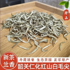 仁化红山白毛尖茶农直销韶关白毛茶丹霞银豪粤北特产白豪银针包邮