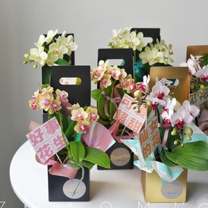 情人节花盒蝴蝶兰礼盒手提包装单支花束礼品鲜花插花纸盒子母亲节