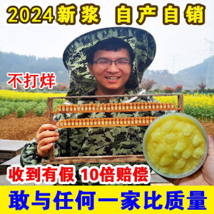 2024新鲜蜂王浆 油菜早春头浆蜂皇浆 蜜王浆非高产浆王浆250g*2瓶