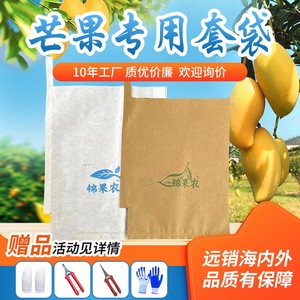 芒果套袋专用袋金煌纸袋凯特象牙双层水果套袋贵妃芒水果防水袋子