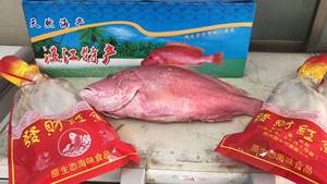 北部湾天然大红鱼干小开背足干湛江雷州乌石特产咸鱼海鲜干货 3斤