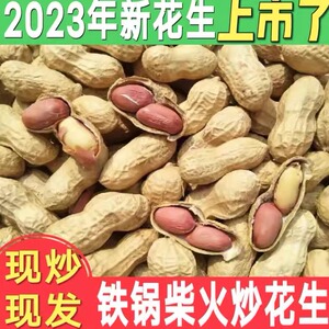 2023年新货炒花生原味带壳现炒现发铁锅柴火炒熟花生带壳生花生