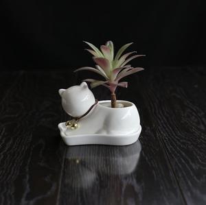 带托盘卡通动物小猫白色可爱多肉花盆小号植物陶瓷创意个性简约