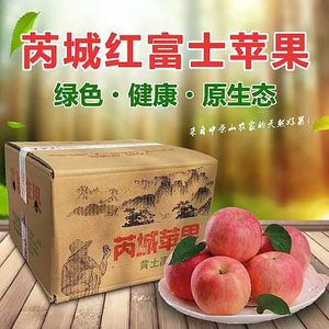 正宗芮城苹果水果当季新鲜红富士整箱10斤包邮山西运城特产吃的