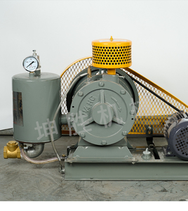 回转式鼓风机低噪污水处理回旋曝气机增氧机滑片式风机全铜电机