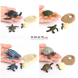 仿真变温爬行动物模型生长周期教具 海龟陆龟龟蛋小龟认知小摆件