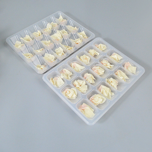 小馄饨专用盒一次性塑料托盘冷冻抄手云吞小号饺子速冻食品包装盒