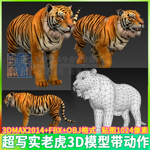3DMAX凶猛猫科动物写实逼真大老虎东北虎3D模型骨骼动作 三维素材