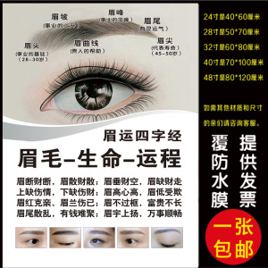 美容院纹绣半永久眉毛生命运程介绍海报挂图眉运四字经宣传画定制 阿里巴巴找货神器