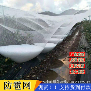 防冰雹网苹果葡萄防雹网白色全新料抗氧化果园农田园艺防鸟网尼龙