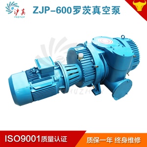 上海ZJP-150/600/300/70罗茨泵机组防爆渗镍防腐罗茨真空泵厂家