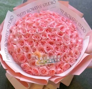 送女友99朵粉色戴安娜玫瑰花求婚花束鲜花速递北京生日订花同城