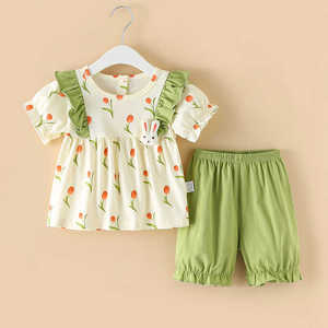 0-5岁婴儿夏装纯棉套装A类分体两件套宝宝衣服夏季女童薄款9个月