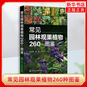 常见园林观果植物260种图鉴 任全进 乔木类 园林规划设计施工园艺园林从业人员及广大植物爱好者参考 农林院校园林专业师生参考