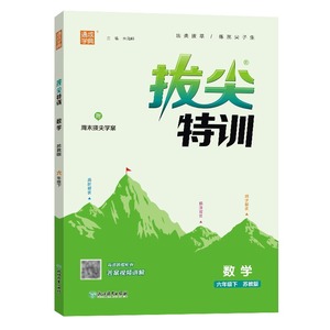 2024春 小学拔尖特训六年级下册数学苏教版 通城学典 小学6年级教材同步专项逻辑思维强化训练习册尖子生题库学案天天练学霸作业本