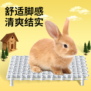 兔子脚垫防啃咬兔笼底板宠物加厚网格垫荷兰猪防卡脚垫漏粪网格板