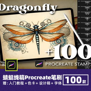 复古蜻蜓procreate笔刷手绘辅助线稿动物动物插画昆虫装饰绘画笔