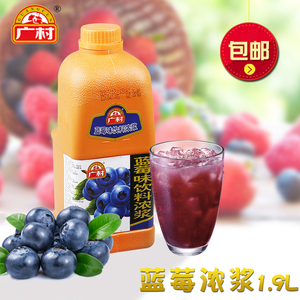 普级广村蓝莓汁 蓝莓味浓缩果汁 饮料浓浆1.9L 冲饮奶茶新的日期