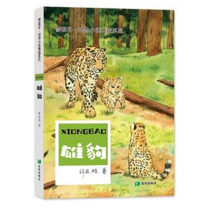 正版  （儿童文学）雪狼谷·动物小说典藏系列：雄豹