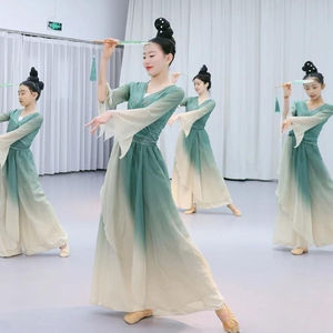 醉清波演出服古典舞飘逸蓝色纱衣中国舞女子艺考考级表演舞蹈服装