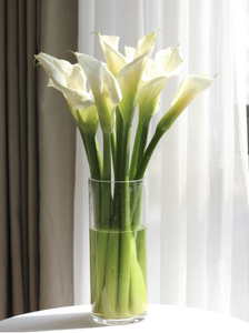 白色马蹄莲鲜花家用或办公室插花瓶 上海发货江浙沪皖2扎顺丰包邮