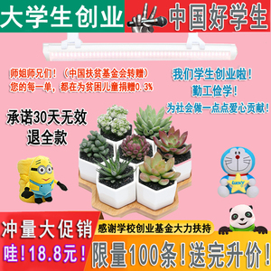 日光灯植物生长 淘宝拼多多热销日光灯植物生长货源拿货 阿里巴巴货源 日光灯植物生长 淘宝拼多多热销日光灯植物生长货源拿货 阿里巴巴货源