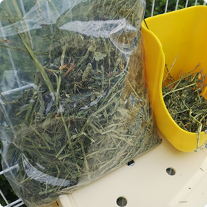 进口美国紫花苜蓿草饲料净重一公斤兔子干草兔粮用品包邮