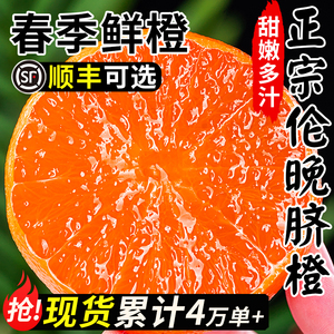 正宗秭归伦晚脐橙10水果新鲜当季整箱斤手剥榨汁专用甜橙大果橙子