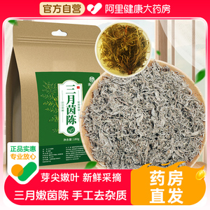 三月嫩茵陈搭中葯材新鲜正品蒿棉鲜茵陈白蒿野生嫩芽土绵茵陈茶