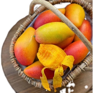 海南三亚贵妃芒树上熟大芒果新鲜水果整箱应当季8斤红金龙包邮