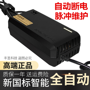 电动车电瓶充电器48V12ah60V20AH72雅迪爱玛立马绿佳小刀三轮通用