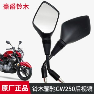 适用豪爵铃木骊驰DL GW250-A GW250S/F新款后视镜反光镜原厂正品