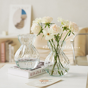周周家ins风玻璃花瓶透明水养绿萝鲜花插花创意福袋花瓶桌面装饰