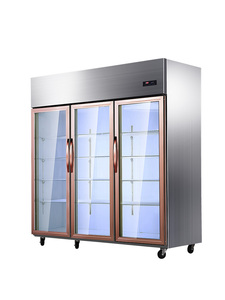 诺唯斯三开门保鲜柜冷藏展示柜冷冻商用冷柜蔬菜串串双三门点菜柜