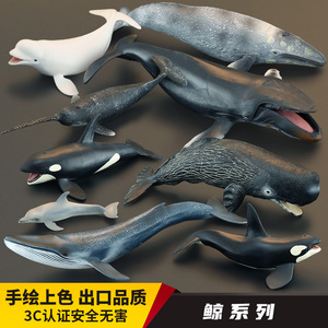 儿童仿真动物玩具鲸鱼动物模型蓝鲸座头鲸虎鲸海豚白鲸独角鲸认知