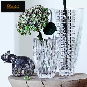 德国原装进口nachtmann水晶玻璃透明花瓶摆件客厅水养花器小号