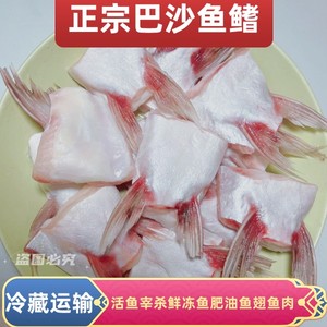 巴沙鱼鳍翅网红鱼肥油鱼肚肉新鲜鱼肉冷冻水产鱼类约400g-800g