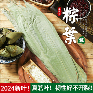 粽叶干大号粽子叶2024新叶糯米蛋黄肉粽粽绳包粽子材料现摘鲜粽叶