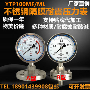 YTP100-MLF不锈钢隔膜压力表耐震法兰螺纹式连接膜片DN25DN50四氟