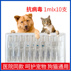 兽用利巴1ml10支抗病毒犬猫宠物犬瘟热猫瘟犬猫乐韦林植物提取物