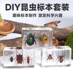 琥珀昆虫标本diy材料儿童益智手工玩具真动植物制作科学实验套装