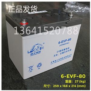 6EVF60 80 85 100理士电瓶叉车3EVF200胶体免维护蓄电池小金刚12V