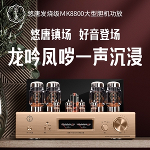 悠唐MK8800电子管胆机功放HiFi发烧级KT88推挽大功率纯胆后级功放